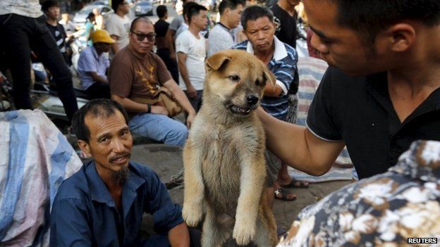 imagen de perros en mercado de china