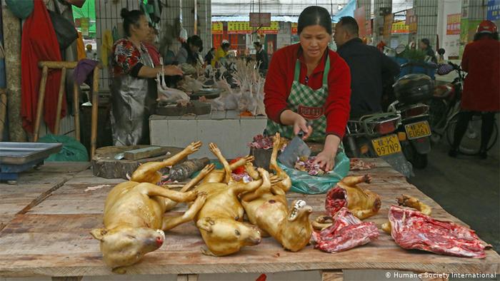 imagen de perros en mercado de china