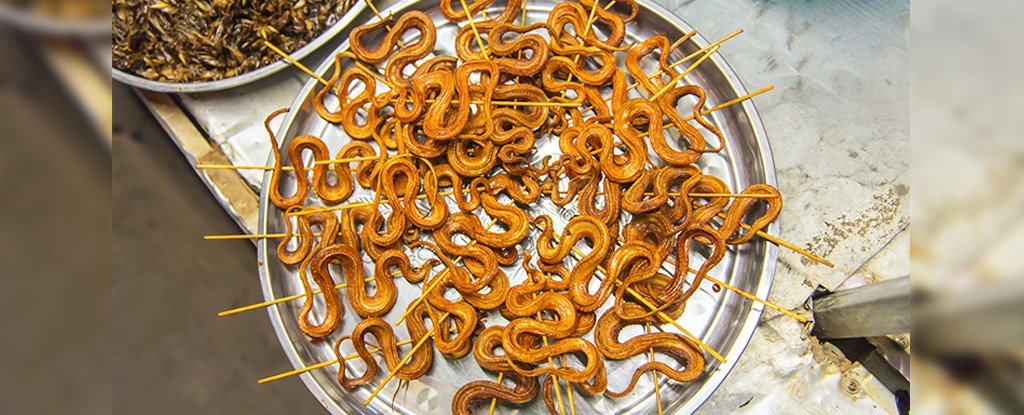 imagen de serpientes en mercado de china